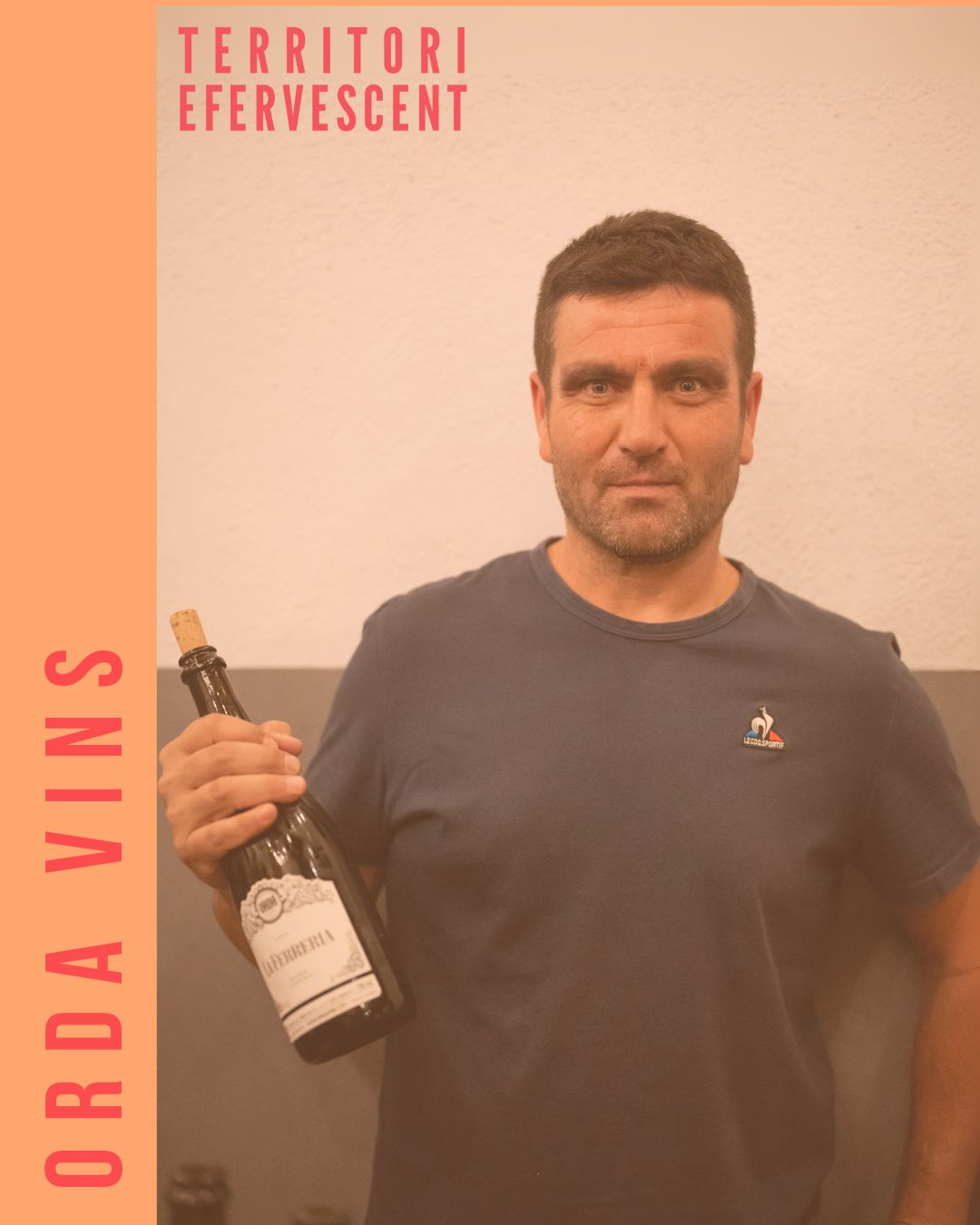 Orda Vins
