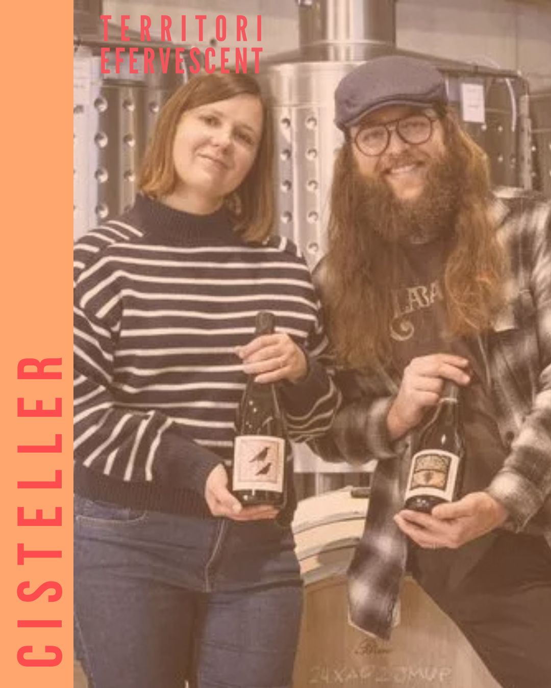 Cisteller Wine
