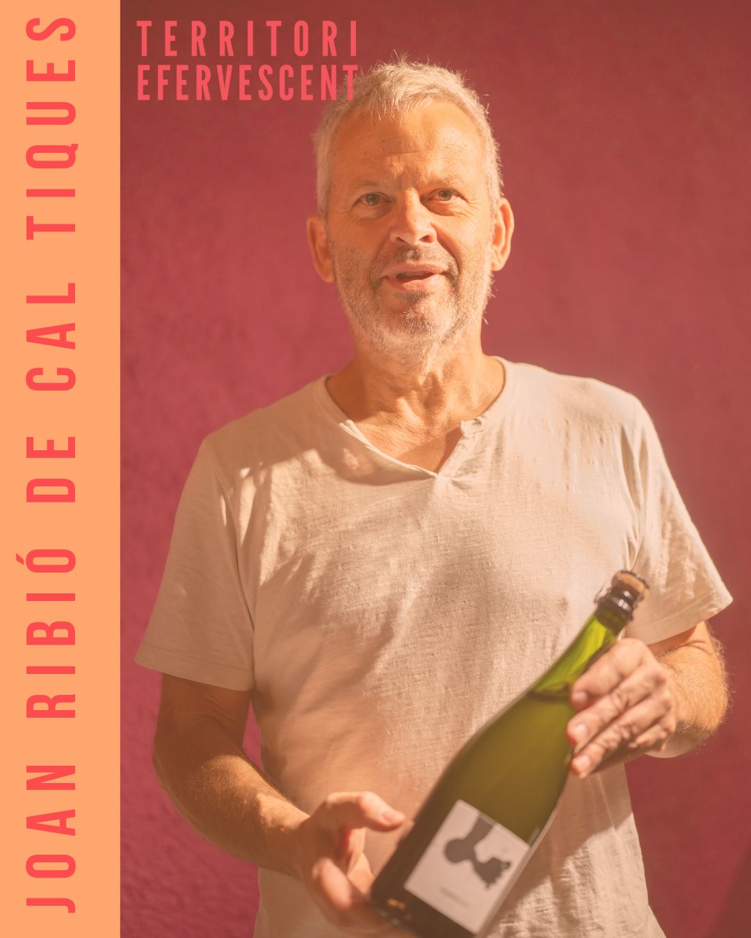 Tiques Vins